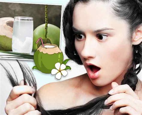 Now that you know all about the possible benefits of coconut water on your skin, health, and hair, now is the time for us to break some common myths related to this magic drink. Coconut Water Can Benefit Your Skin And Hair In A Variety ...