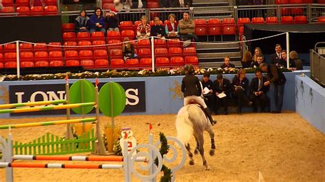 Malin baryard (malin birgitta barijard johnsson, born 10 april 1975 in söderköping, östergötland, sweden) is a swedish equestrian, competing in show jumping. Malin Baryard-Johnsson ( Sweden) - YouTube