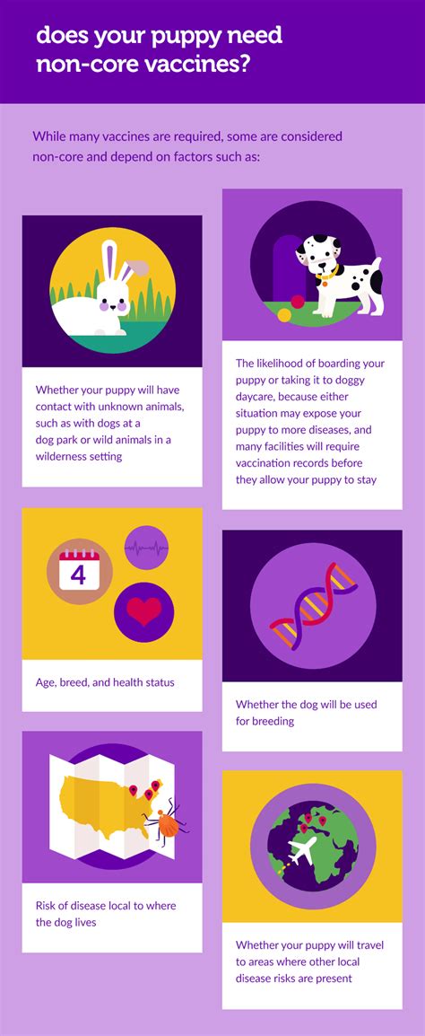 Veterinarians recommend at least one round of vaccines 7 days before socialization and the first round of deworming. When Can Puppies Get Shots? Puppy Vaccination Schedules