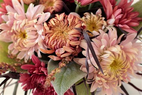 This science experiment tests whether warm or cold water works best in making cut flowers last longer. Ten Favorite Mum Varieties for Cutting | Love 'n Fresh Flowers