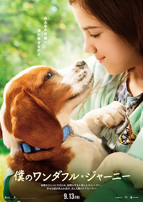 A kutya négy útja online film : A Kutya Négy Útja Online Film : Egy Kutya Negy Elete 2017 Teljes Filmadatlap Mafab Hu / Egy ...