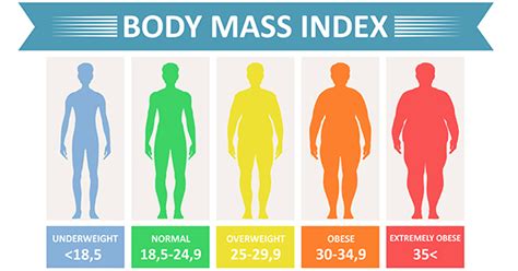 Body Mass Index - 2Thepoint
