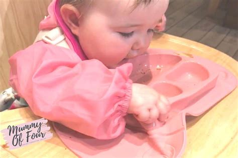 The cookbook is just as amazing as the book. Review of EasyMat Mini - Portable Baby Suction Plate For ...