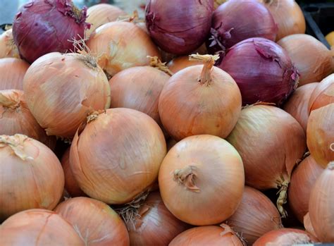 Onions For Sale Free Stock Photo - Public Domain Pictures