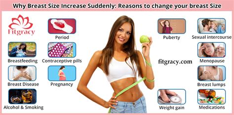 So, here is how you can increase the level of estrogen and other nutrition that are required in its growth. Why Breast Size Increase Suddenly: Reasons to change your ...