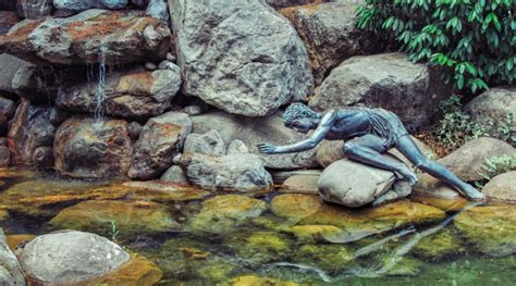 Mit frühlingsblühern wie narzissen, hyazinthen und ranunkeln lässt sich die wohnung verschönern. Der Narziss und der Teich - Die Fontäne