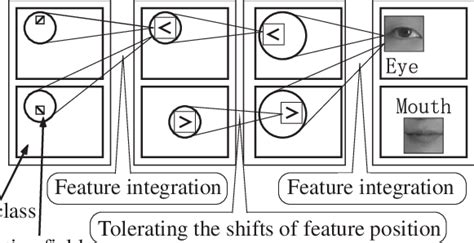 The false alarm flight responses each are unnecessary and wasteful in the specific instance but are nonetheless completely normal products of an optimal system. Principle of pattern detection using a CoNN (an example of ...