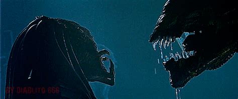 Lift your spirits with funny jokes, trending memes, entertaining gifs, inspiring stories, viral videos, and so much more. alien vs predator gifs | WiffleGif