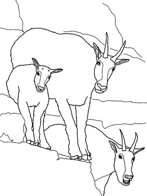 Free printable coloring pages and book for kids. Mountain Goat Family Coloring Pages : Color Luna in 2020 ...