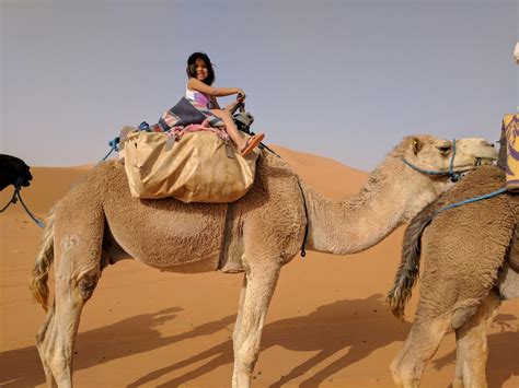 If you saw a horse in the same condition and you. Camel Riding Tips for Desert Adventures (and Dummies ...