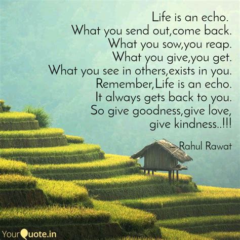 Check spelling or type a new query. Life Is An Echo Quote : Pin By Mona Art On Buddhism Quotes Buddha Quotes Inspirational Buddhism ...