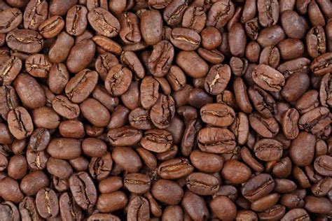 Today malaysia grows about 25,000 hectares of coffee mainly in the provinces of kelantan, kedah, trengganu, sellangore. 26 Different Types of Coffee Beans