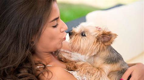 All pets veterinary hospital is a fully accredited animal hospital with both state of the art equipment and a caring, compassionate staff. Concierge Mobile Animal Hospital, South Bay, CA | Pet ...