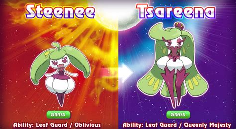 Reader is of unspecified gender but has a penis. Pokemon Tsareena X Reader - Bounsweet Steenee And Tsareena Pokemaniacal / I wasn't joking, i ...