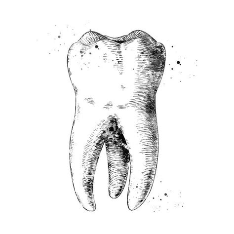 Obwohl jeder mensch anders reagiert, gibt es einige. inktober day 8 I might only draw teeth in any style plus I do not know how to draw figure of ...