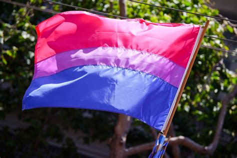 Türkçe, i̇ngilizce, almanca, fransızca ve birçok dilde anlamı. Bisexual pride flag - Wikipedia