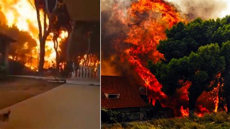 Η φωτιά τώρα έχει φύγει από εκεί, πέρασε απέναντι στην μητροπολίτου και έχει μπει στο κόκκινο χωράφι καίει δάσος αυτή την ώρα. Βίντεο - σοκ από τη φονική φωτιά στο Μάτι