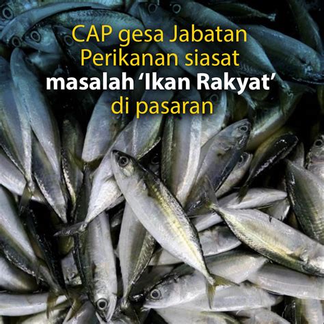 Pejabat perikanan negeri, jalan akuarium, 11700 gelugor, pulau pinang. CAP gesa Jabatan Perikanan siasat masalah 'Ikan Rakyat' di ...