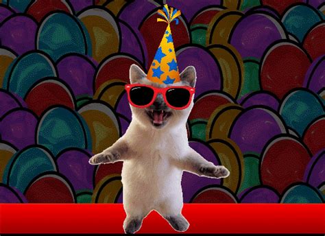 Thank you qoutes thank you gifs thank you images thank you messages thank you cards chibi cat cute chibi thanks gif do it yourself quotes. Funny Cat Colorful Thank You. Free Birthday Thank You ...