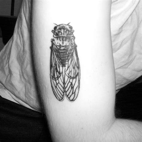 Come see us about creating something nice for you. cicada tattoo | Cicada tattoo, Tattoos, Insect tattoo