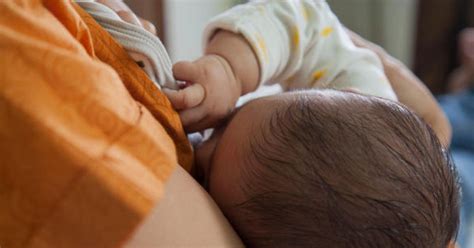 We did not find results for: Susu Ibu Cukup Untuk Bayi. Cumanya Mama Yang Risau Bayi ...
