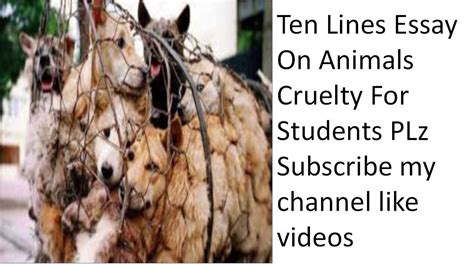 Why we humans have the right reserved to treat animals as animals are fulfilling their part in the ecosystems and communities of the earth, and to the best extent that they are able. Essay On Animal Cruelty In English For Class 1 To 10 - YouTube