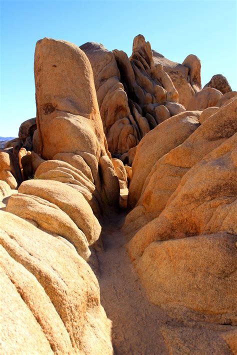 › joshua tree national park. Joshua Tree Quick Stops: Arch Rock, Skull Rock, Cholla ...