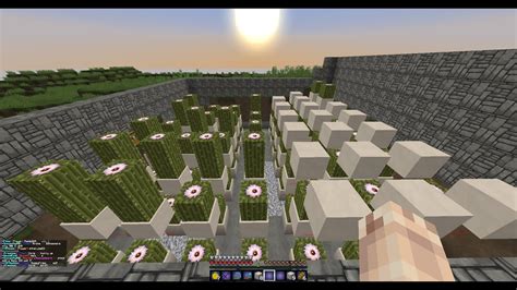 I have a small 3 layer cactus farm rn (gonna make it bigger) and gonna afk overnight. Minecraft Factions #1 - Just Getting Started (Cactus Farm ...