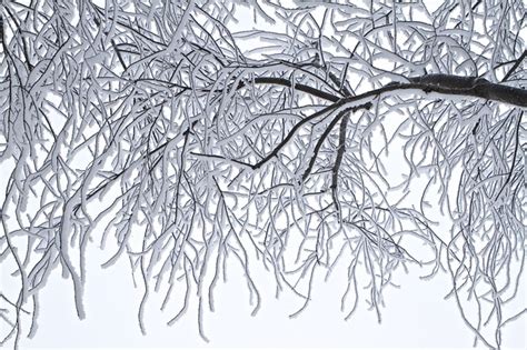 Do zjawisk meteorologicznych nie zaliczamy to zjawisko meteorologiczne należy do grupy fotometeorów i występuje w postaci białawego pierścienia wokół słońca lub księżyca. Zimowe zjawiska atmosferyczne | Szlakami wiary