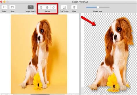 Entfernen von fotohintergründen online ist ein einfacher und leistungsstarker dienst, mit dem sie unnötige hintergründe oder objekte von ihren fotos entfernen können. Mit diesen Tools können Sie den Bild Hintergrund mit Mac ...