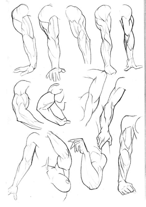 Before you duplicate your reference and draw the clean version on top of it, there's another thing we can do to define this body type more clearly. Sketchbook: Arms Pg3 by Bambs79 on deviantART | Dibujo ...