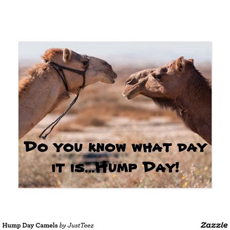 It refers to a camel. Pin on Cute Animals