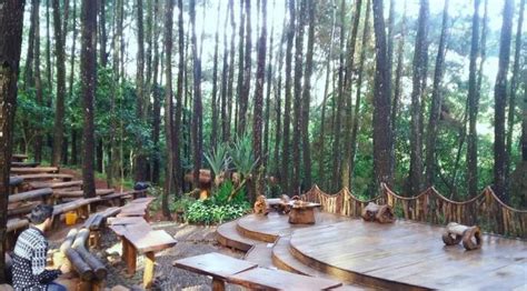 Kompas.com/anggara wikan prasetya keindahan taman ramadanu bagaikan di negeri belanda. Wisata Hutan Pinus Majalengka - Tempat Wisata Indonesia