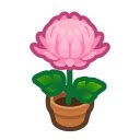 It's important to keep track of which flower is paired with which! Pink-Mum Plant (New Horizons) - Animal Crossing Wiki ...