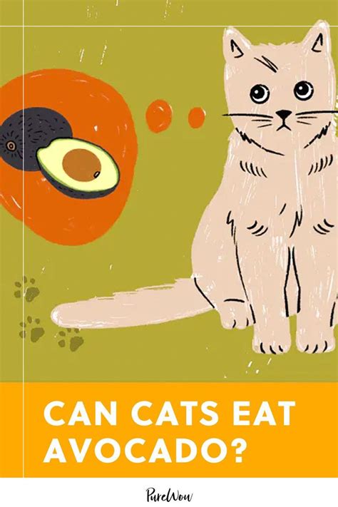 Check spelling or type a new query. Can Cats Eat Avocado? in 2020 | Avocado, Pet poison, Canning