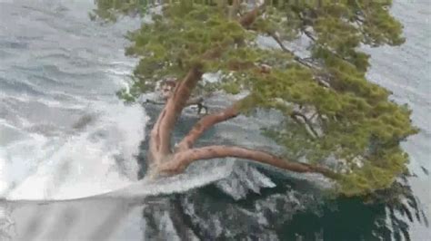 Terremotos japón 2020, japón terremoto, … перевести эту страницу. Terremoto en Japon 2011_3.mov - YouTube