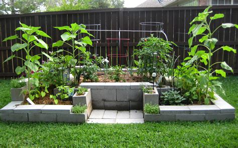 The netting also works for climbers like squash and summer malabar spinach. 15 Creative Cinder Block Raised Garden Beds - Garden ...