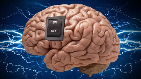 We did not find results for: The ON/OFF Switch Inside Your Brain DISCOVERED?! - YouTube