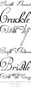 Intellecta van den velde script font. Van den Velde Script - Desktop Font & WebFont - YouWorkForThem