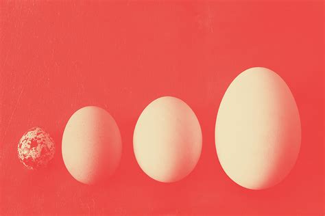 But, there is a catch; Does Size Matter in the Hedge Fund Industry?