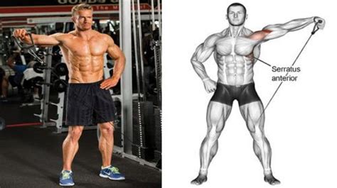 We did not find results for: Get Yourself Shredded With These 5 Cable Machine Exercises ...