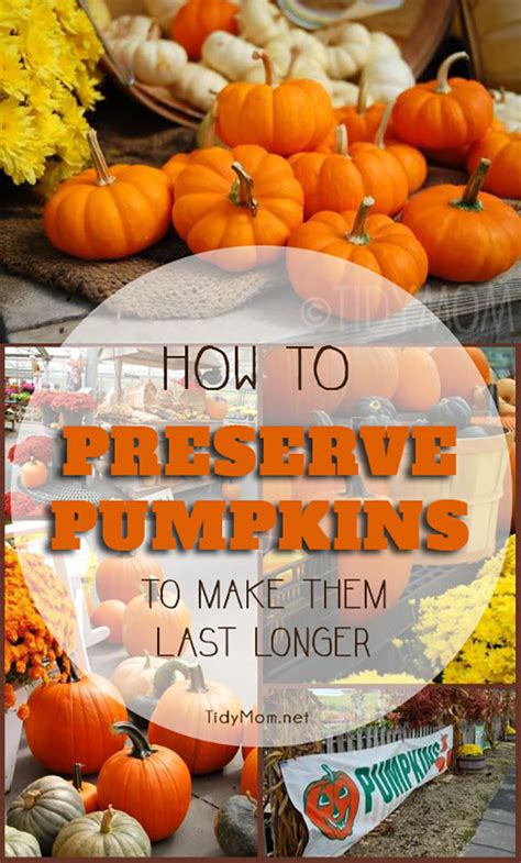 It's that time of year again. How to preserve pumpkins