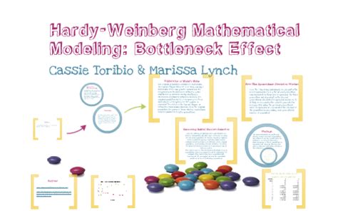 Start studying hardy weinberg problem set. Hardy-Weinberg Mathematical Modeling by Cassie Marissa