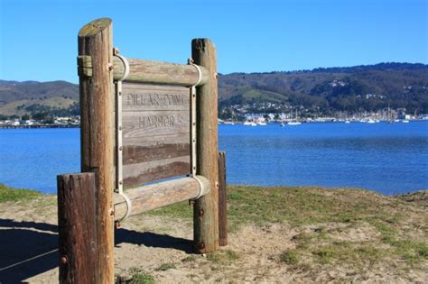 Located 2 miles from pillar point harbor, just north of the town of half moon bay at the village of princeton by the sea, mavericks has waves that crest up to 25 feet. Mavericks Beach, Half Moon Bay, CA - California Beaches