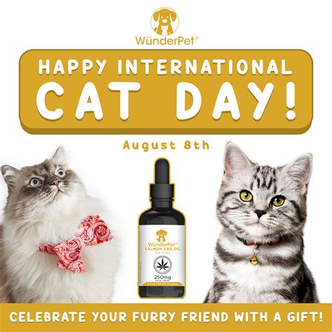 It started as a day to raise awareness for cats and learn about different ways to help and protect them. International Cat Day! - Wunderpet Oil