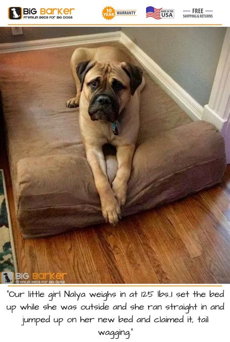 Fur king calming dog bed 2.0. Orthopedic Dog Beds for Large & Extra Large Dogs | Big ...