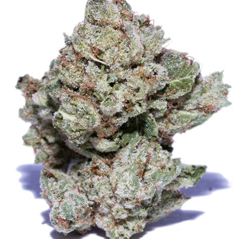 Ogusers is a community driven digital marketplace that connects buyers and sellers from all around. Paris OG (Indica) Strain | Pot Valet