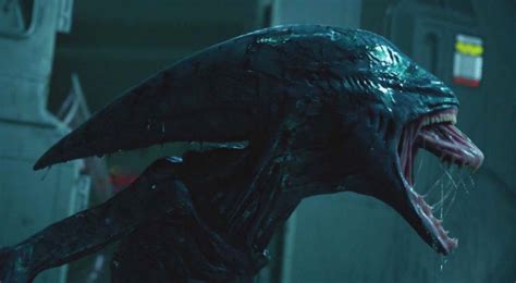 The director's cut / star beast. Da Prometheus ad Alien, il sequel svela titolo e trama ...