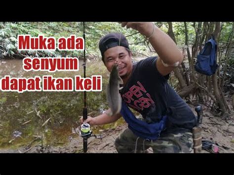 Hai semua, db nak kongsikan resipi sambal ikan keli goreng berlado yang kaw kaw pedas. 🔴 Mancing ikan keli di sungai - YouTube