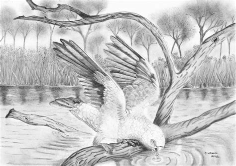 Scenery drawing pencil pencil sketches landscape pencil drawings of nature pencil sketch drawing oil pastel drawings landscape drawings art drawings sketches landscapes village scene drawing. drawings of scenery - Google Search | things to draw ...